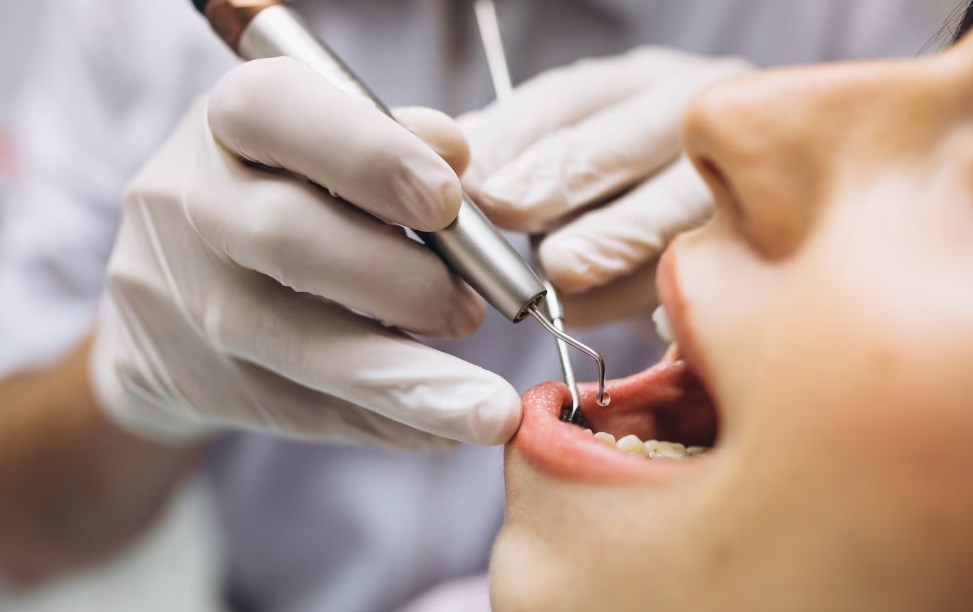 Куда поступать на стоматолога, что сдавать и сколько платить?