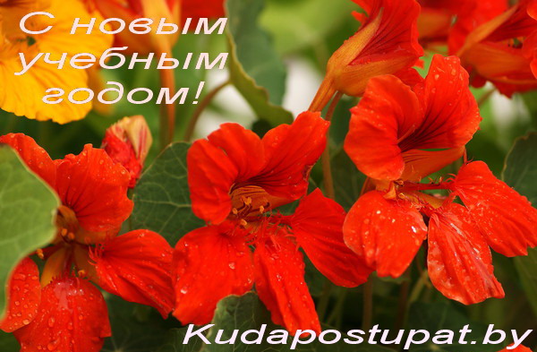 KUDAPOSTUPAT.BY ПОЗДРАВЛЯЕТ ВСЕХ С НАЧАЛОМ НОВОГО УЧЕБНОГО ГОДА!