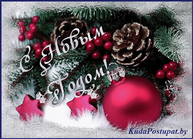С Рождеством и Новым 2016-м годом своих друзей поздравляет KudaPostupat.by!