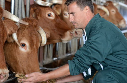 Теперь можно  поступать на сельскохозяйственные специальности без ЦТ по русскому (белорусскому) языку 