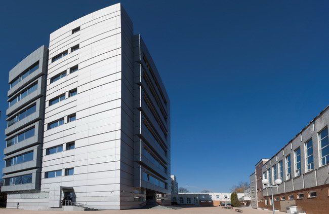 Есть ли смысл поступать на экономику и IT в «МИТСО»?