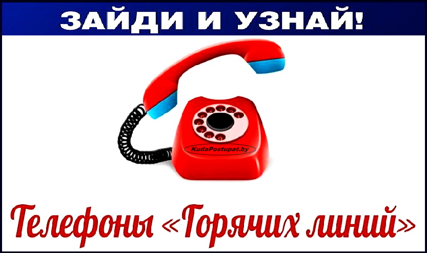 Телефоны горячих линий комиссий КГК по контролю за ходом вступительной кампании 2019 года