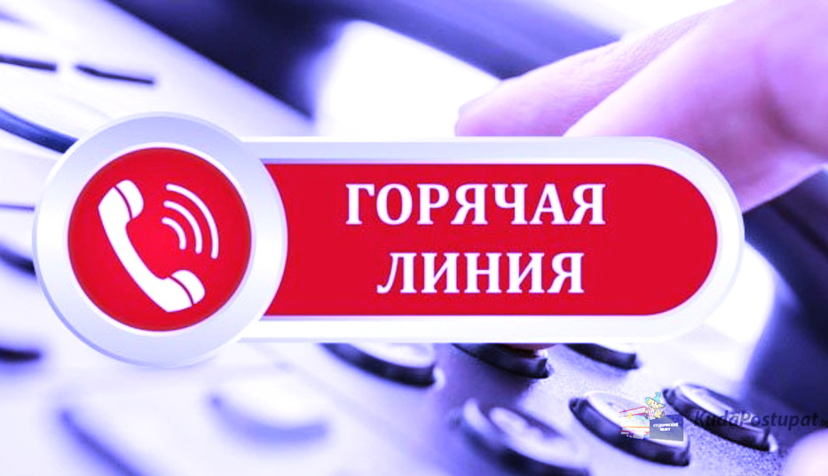 В Беларуси начинают работу «горячие линии» Комитета госконтроля (КГК)