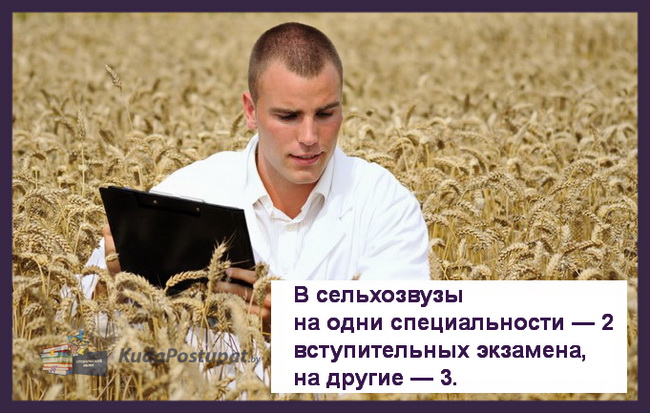При поступлении в сельскохозяйственные вузы на одни специальности — 2 вступительных экзамена, на другие — 3