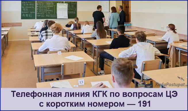 Горячая телефонная линия КГК по вопросам ЦЭ с коротким номером — 191