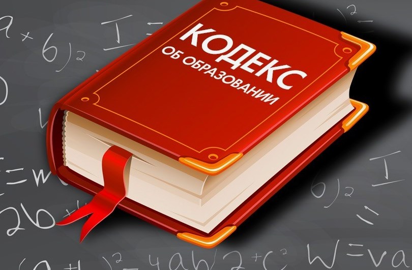 Нововведения в Кодексе об образовании коснутся целевиков, дистанционки и школьной программы