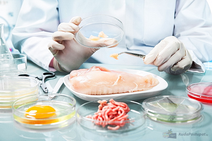 Пищевая безопасность — новая специальность 2025г. в БГУТ  (Могилев)