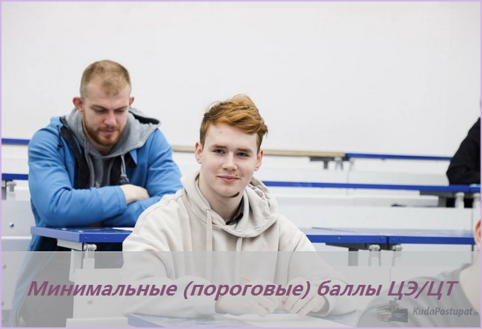 Минимальные (пороговые) баллы ЦЭ и ЦТ в 2025 году остаются такими же, как и раньше