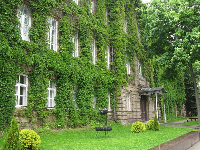 Проходные баллы в ГрГУ в 2025 году (дневная форма обучения)