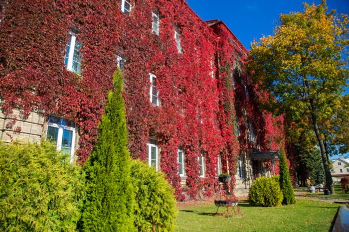 Проходные баллы в ГрГУ в 2025 году (заочная форма обучения)