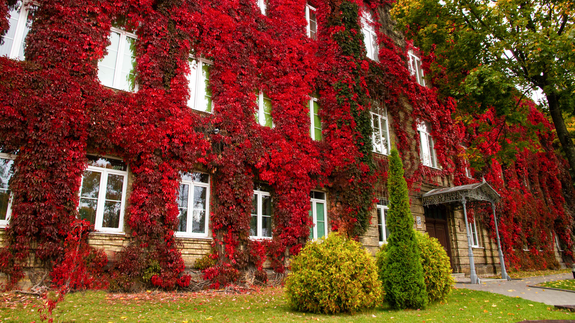 Проходные баллы в вузах Беларуси за 2025 год — в одной статье