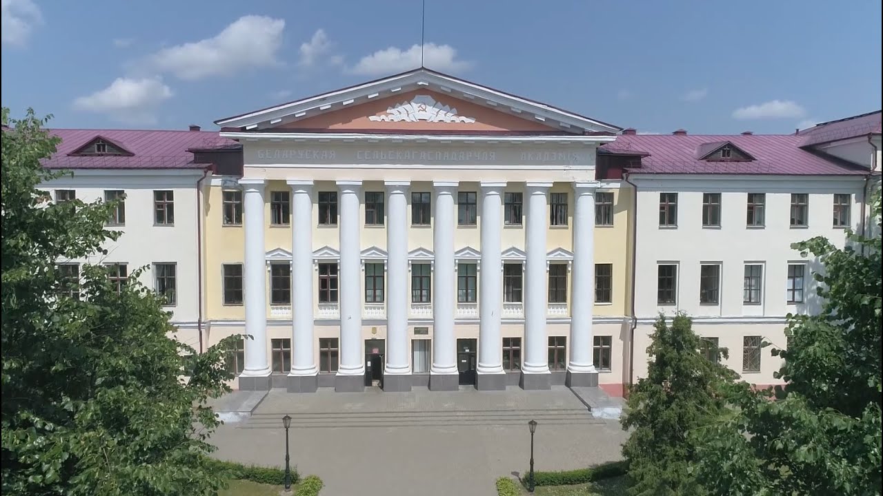 Проходные баллы и конкурс в БГХСА в 2025 году: дневная и заочная формы обучения