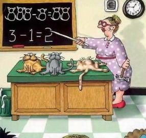 ЦИТАТЫ ИЗ ШКОЛЬНЫХ СОЧИНЕНИЙ:  Папа Карло вырубил Буратино.