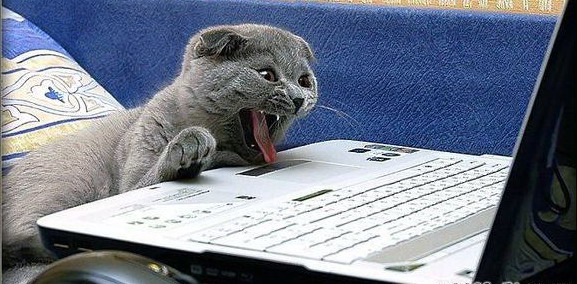 ВСПОМНИТЬ ВСЕ!