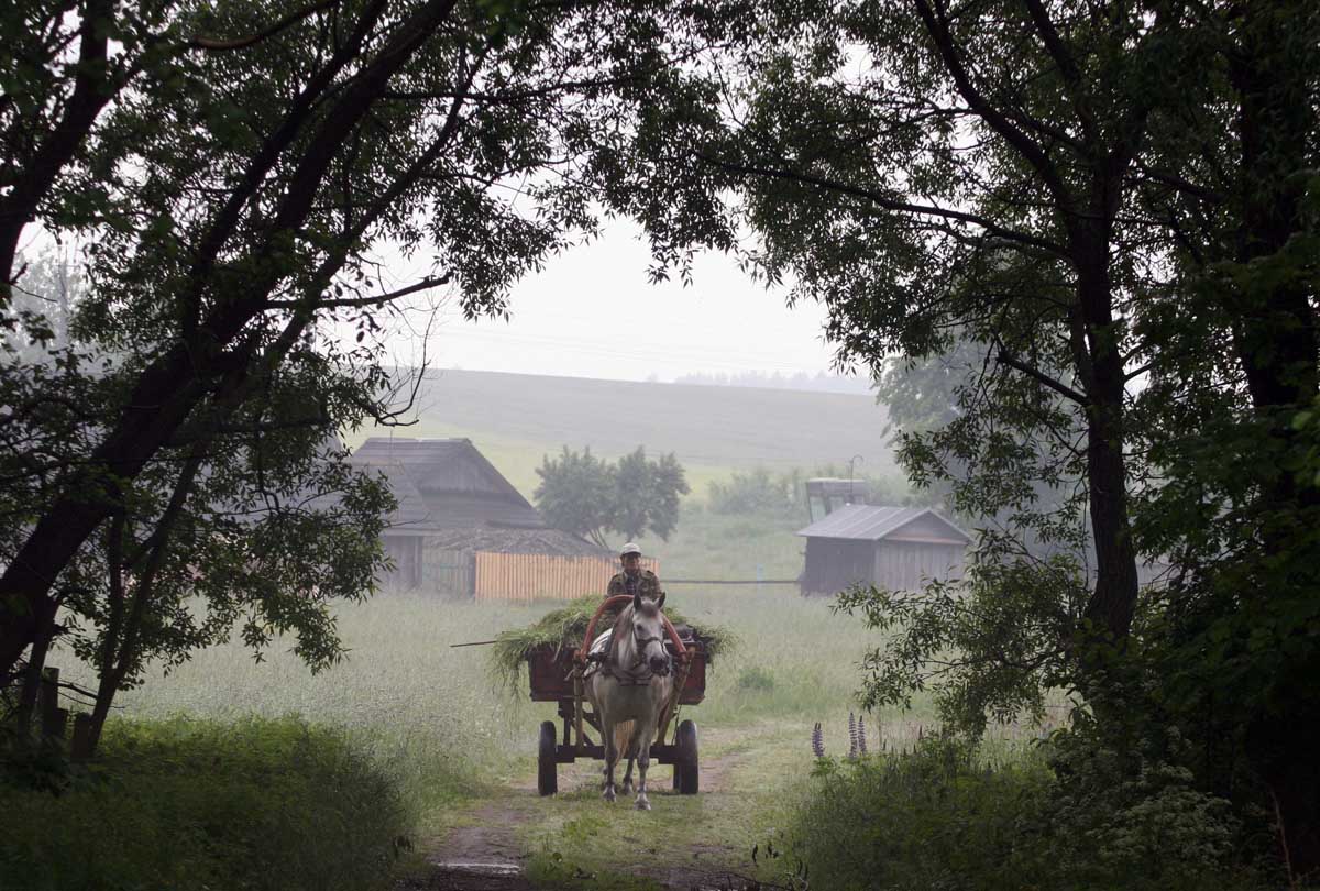 СЕЛЬСКИЙ АБИТУРИЕНТ: ЭКЗАМЕН НА ВЫЖИВАНИЕ