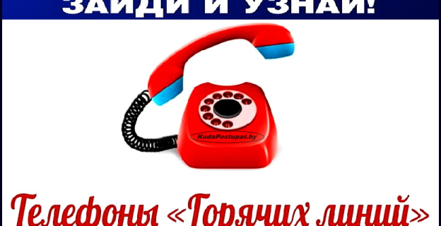 Телефоны горячих линий комиссий КГК по контролю за ходом вступительной кампании 2019 года