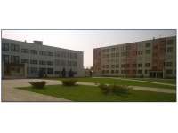 УО "Дзержинский государственный колледж"